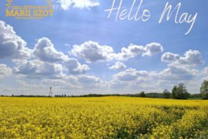 hello_may